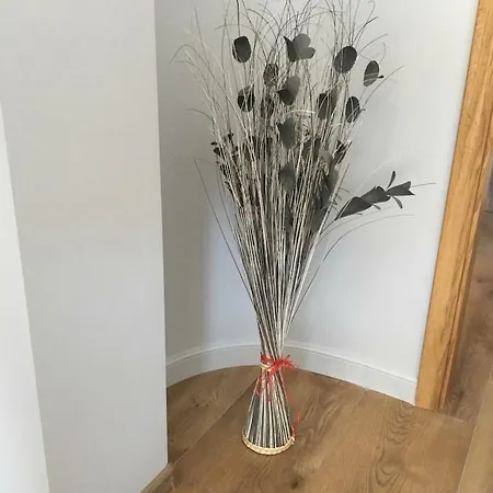 Silence Baltic Lesny 포비에로보