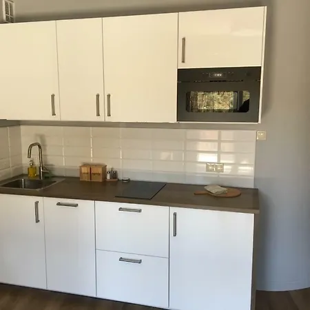 Silence Baltic Lesny *