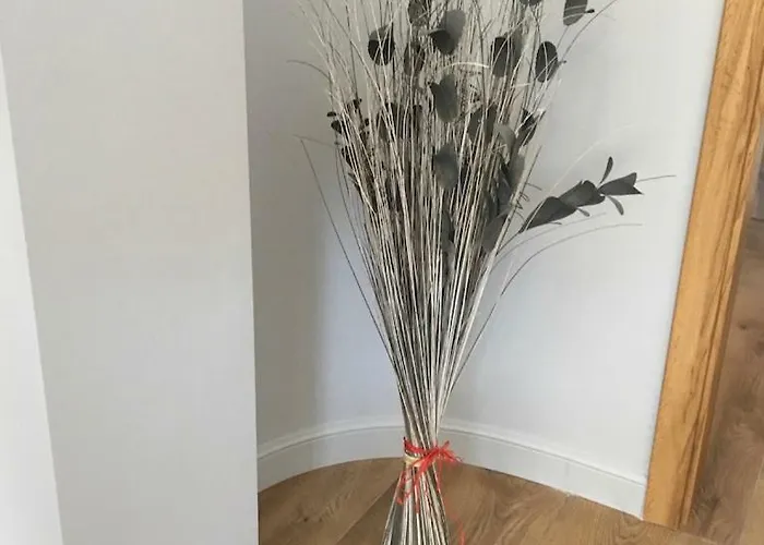 Silence Baltic Lesny Pobierowo