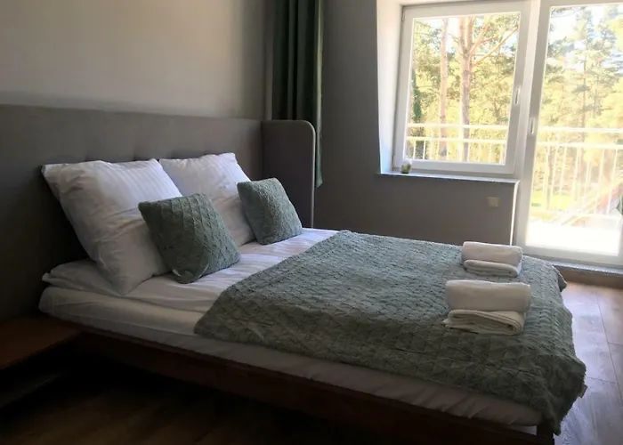 Silence Baltic Lesny