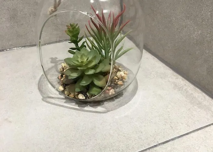 Silence Baltic Lesny * Pobierowo